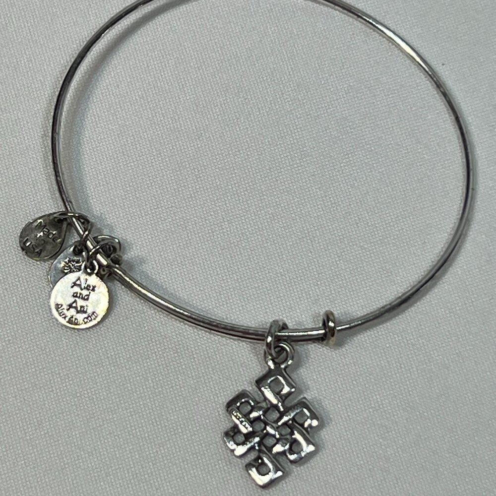 Alex and Ani Silver Endless Knot Charm Bangle Bracelet